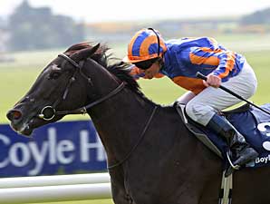 Halfway To Heaven Soars in 1,000 Guineas Halfway To Heaven Soars in 1,000 Guineas