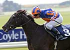 Halfway To Heaven Soars in 1,000 Guineas