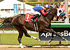 Halo Dolly Registers 10th Career Stakes Win Halo Dolly Registers 10th Career Stakes Win