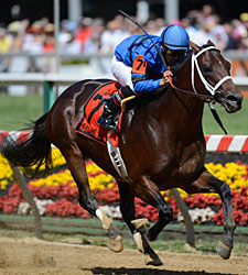 Hamazing Destiny Scores First Stakes Win Hamazing Destiny Scores First Stakes Win