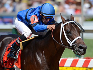 Graded Winner Hamazing Destiny to Westrock Graded Winner Hamazing Destiny to Westrock