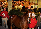 Give Keeneland's Select Sessions a B+ Give Keeneland's Select Sessions a B+