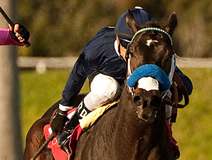 Gutierrez Teams With Handsome Mike in Haskell Gutierrez Teams With Handsome Mike in Haskell