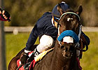 Gutierrez Teams With Handsome Mike in Haskell Gutierrez Teams With Handsome Mike in Haskell