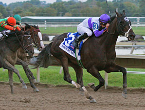 Handsome Mike Wins Pennsylvania Derby
