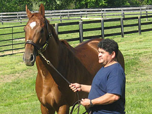 Haskin: Bon Voyage, Animal Kingdom