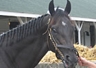 Haskin's Derby Trail: Derby Dreams