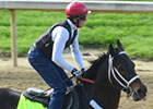 Haskin's Derby Report: Quick on the Draw Haskin's Derby Report: Quick on the Draw