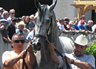 Haskin's Derby Trail: Summer School Haskin's Derby Trail: Summer School