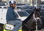 Haskin's Derby Report: And They're Off!
