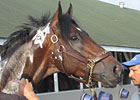 Haskin's Derby Trail: Thursday Potpourri