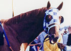 Haskin's Preakness Report: Two to Go Haskin's Preakness Report: Two to Go