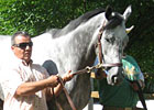 Haskin's Preakness Report: The Picks         
