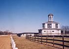 Haskin Series Part 4: Secretariat's Grooms Haskin Series Part 4: Secretariat's Grooms