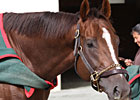 Hangin' With Haskin: The Next Invasor?