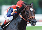 Hangin' With Haskin: Medaglia Magic Hangin' With Haskin: Medaglia Magic
