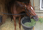 Haskin: The Princess of Sylmar Story Haskin: The Princess of Sylmar Story