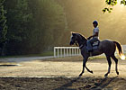 Hangin' With Haskin: Saratoga Memories 2012