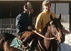 Haskin: The Life and Death of Seattle Slew Haskin: The Life and Death of Seattle Slew