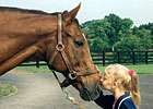 Haskin: All the Pretty Horses Redux Haskin: All the Pretty Horses Redux