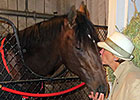 Hangin' With Haskin: Why Was Orb Retired? Hangin' With Haskin: Why Was Orb Retired?