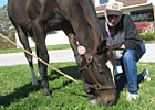 Haskin: A Day with Zenyatta and Rachel