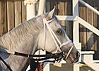 Hansen Breezes at Churchill Training Center