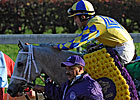 Hansen Leads Holy Bull Probables
