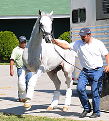 Hansen Settles in at Churchill Downs' Barn 42 Hansen Settles in at Churchill Downs' Barn 42