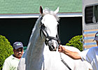 Hansen Settles in at Churchill Downs' Barn 42 Hansen Settles in at Churchill Downs' Barn 42