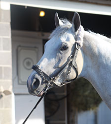Hansen Breezes at Churchill Training Center Hansen Breezes at Churchill Training Center