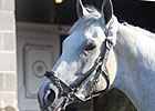 Hansen Breezes at Churchill Training Center