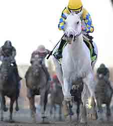 Hansen Works Five Furlongs for Woody Stephens Hansen Works Five Furlongs for Woody Stephens