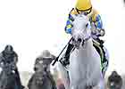 Champion and BC Winner Hansen Retired Champion and BC Winner Hansen Retired