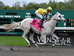 Hansen, Matthewsburg Star in KY Cup Races Hansen, Matthewsburg Star in KY Cup Races