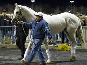 Owner Reaffirms Wood Memorial for Hansen Owner Reaffirms Wood Memorial for Hansen