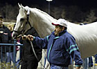 Owner Reaffirms Wood Memorial for Hansen