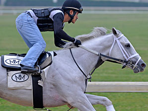 Hansen Picks Up Training for Blue Grass Start Hansen Picks Up Training for Blue Grass Start
