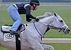 Hansen Picks Up Training for Blue Grass Start