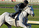 Hansen Breezes for Blue Grass
