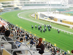 Hong Kong Jockey Club Pursues New, Young Fans Hong Kong Jockey Club Pursues New, Young Fans