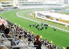 Hong Kong Jockey Club Pursues New, Young Fans