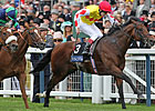 Haradasun - Australian Champion at Ascot