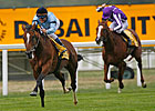 King George Winner Harbinger Retired King George Winner Harbinger Retired