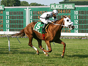 Hard Enough Seeks Third Straight in Kent Hard Enough Seeks Third Straight in Kent