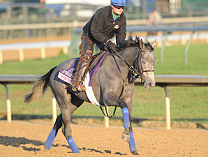 Trainer Cox Makes Breeders' Cup Debut Trainer Cox Makes Breeders' Cup Debut