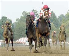 Hard Spun Fights Back, Wins King's Bishop Hard Spun Fights Back, Wins King's Bishop