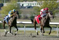Hard Spun Trumps Street Sense in Kentucky Cup Classic Hard Spun Trumps Street Sense in Kentucky Cup Classic