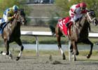 Hard Spun Trumps Street Sense in Kentucky Cup Classic