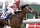 Front-end Tactics Loom Key to Breeders' Cup Classic Front-end Tactics Loom Key to Breeders' Cup Classic